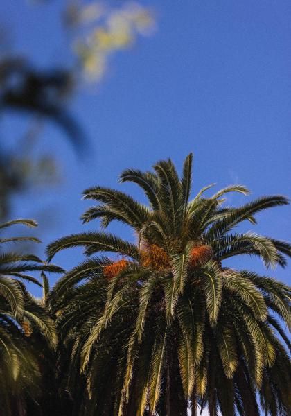 La Villa Port d'Antibes - Temperature standards